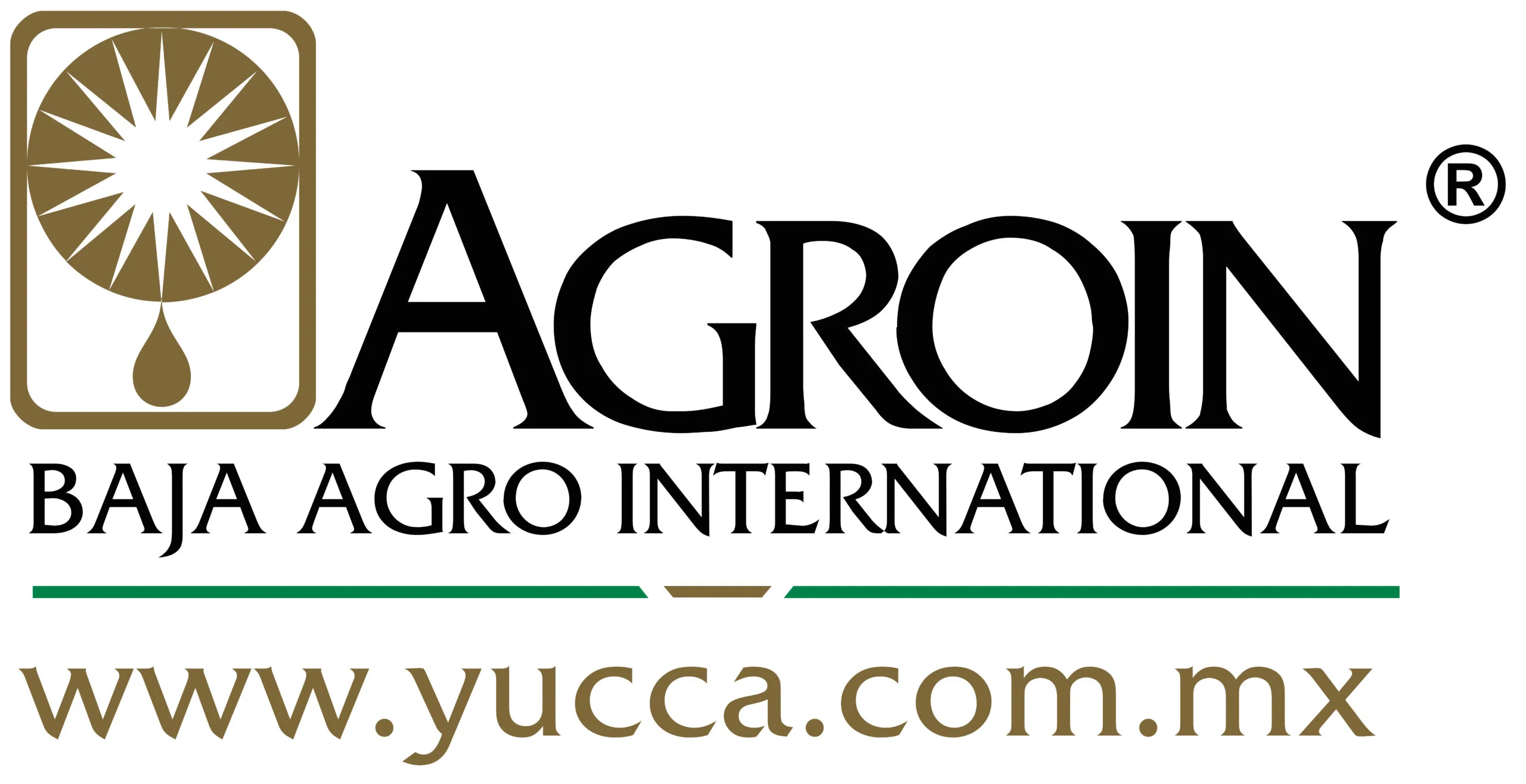 BAJA AGRO INTERNATIONAL Logo