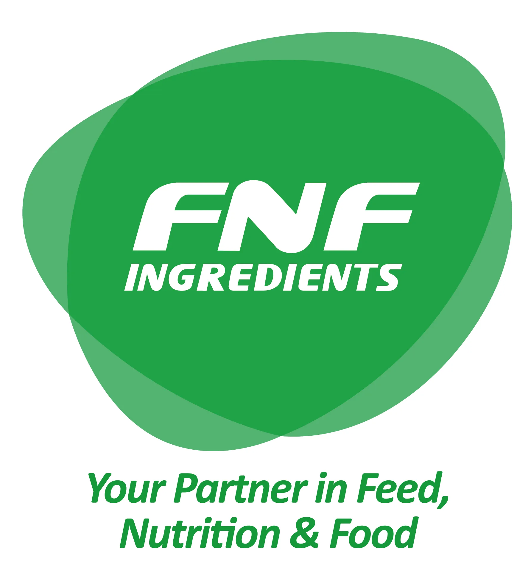 FNF INGREDIENTES Logo