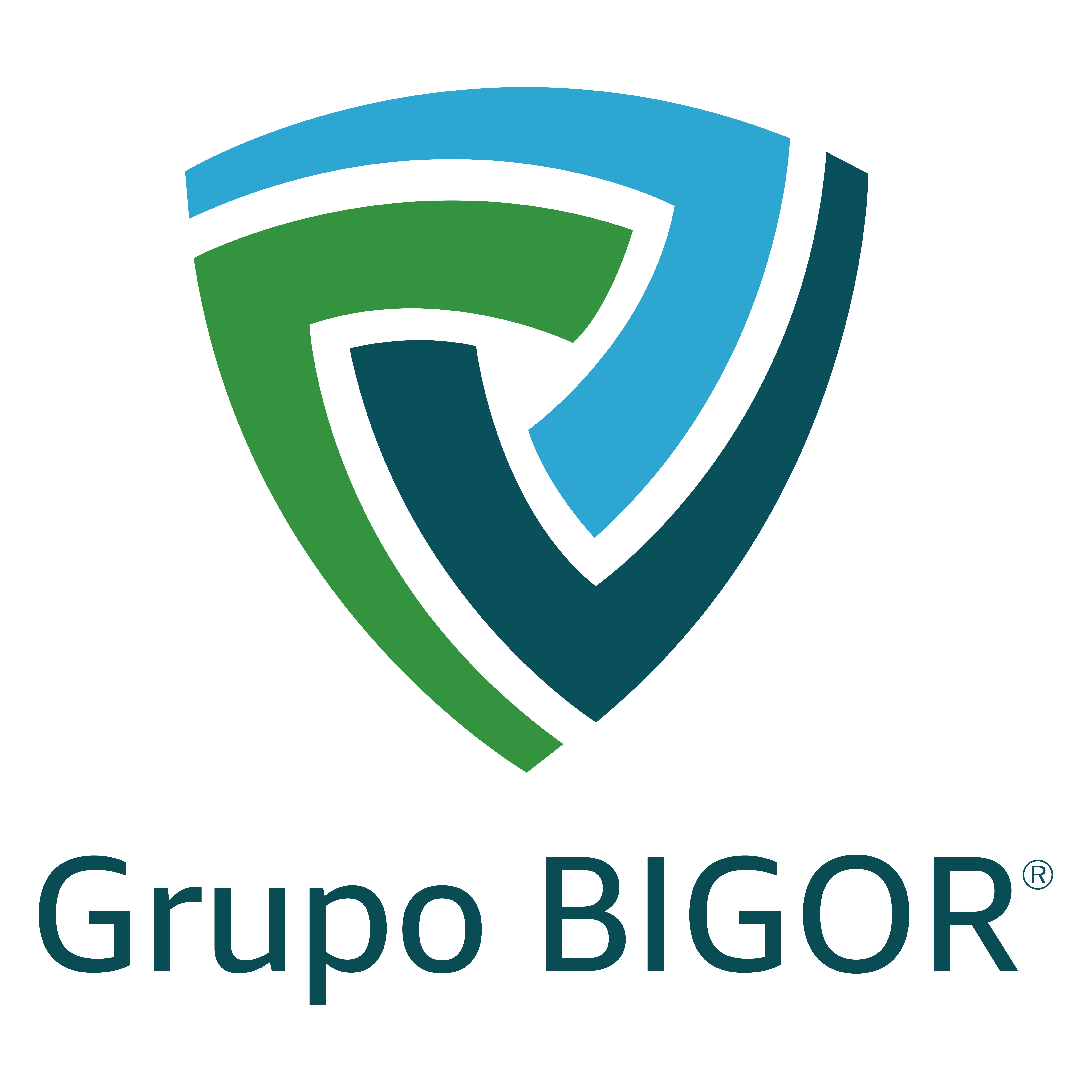 GRUPO BIGOR Logo
