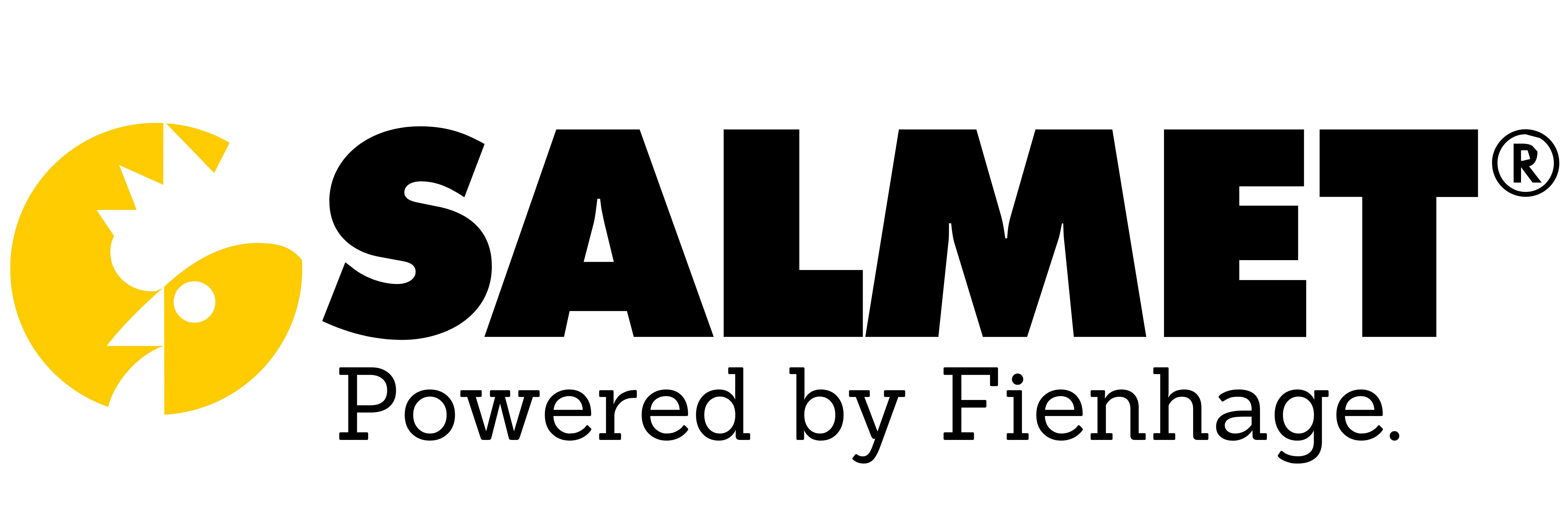 SALMET-FIENHAGE GmbH Logo