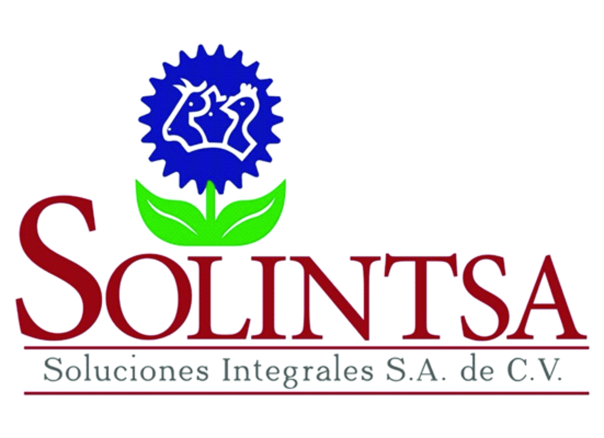 SOLUCIONES INTEGRALES, S.A. DE C.V. Logo