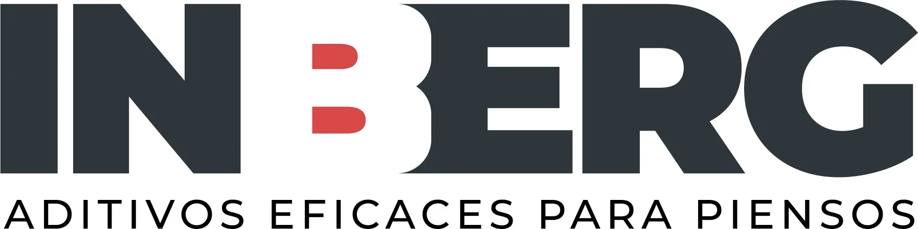 INBERG Logo
