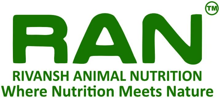 RAN Logo