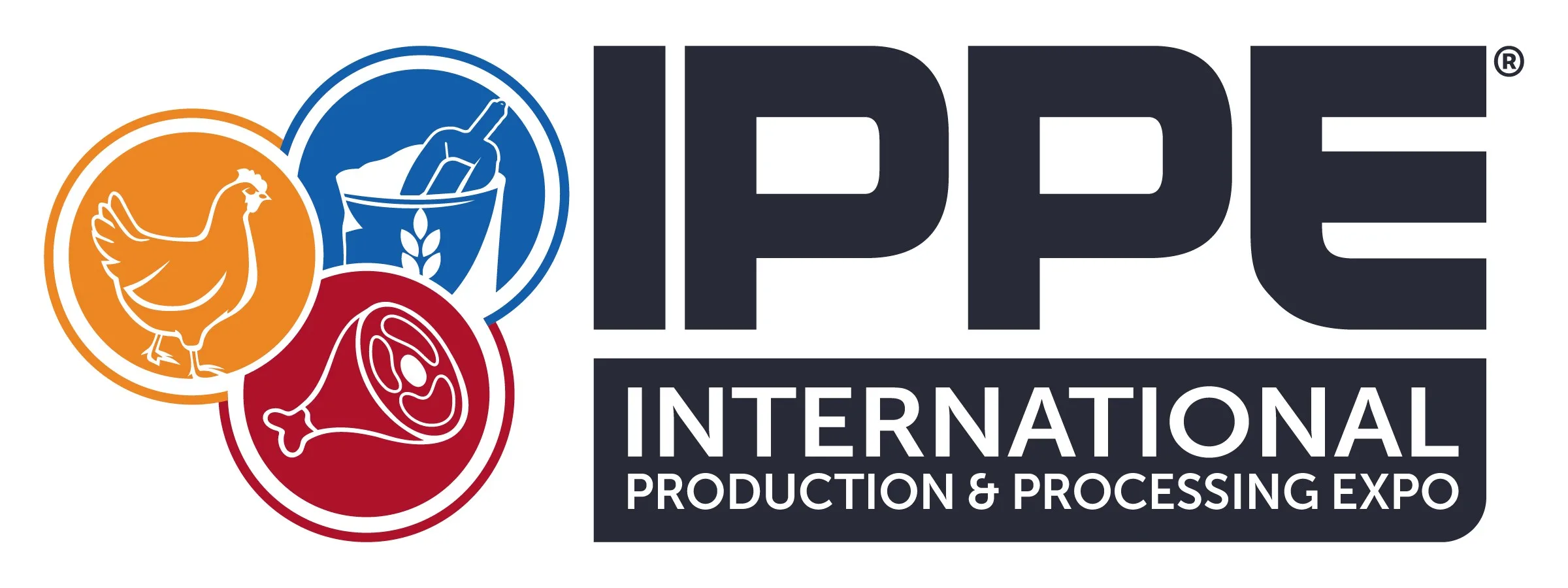 IPPE Logo